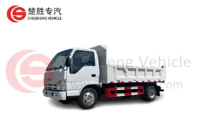 Оценка моделей самосвал Howo: 6x4 против 4x2 конфигурации