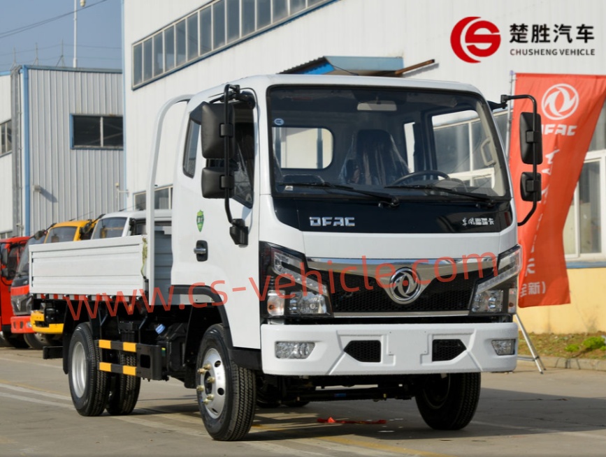 Бортовой грузовик Dongfeng-6